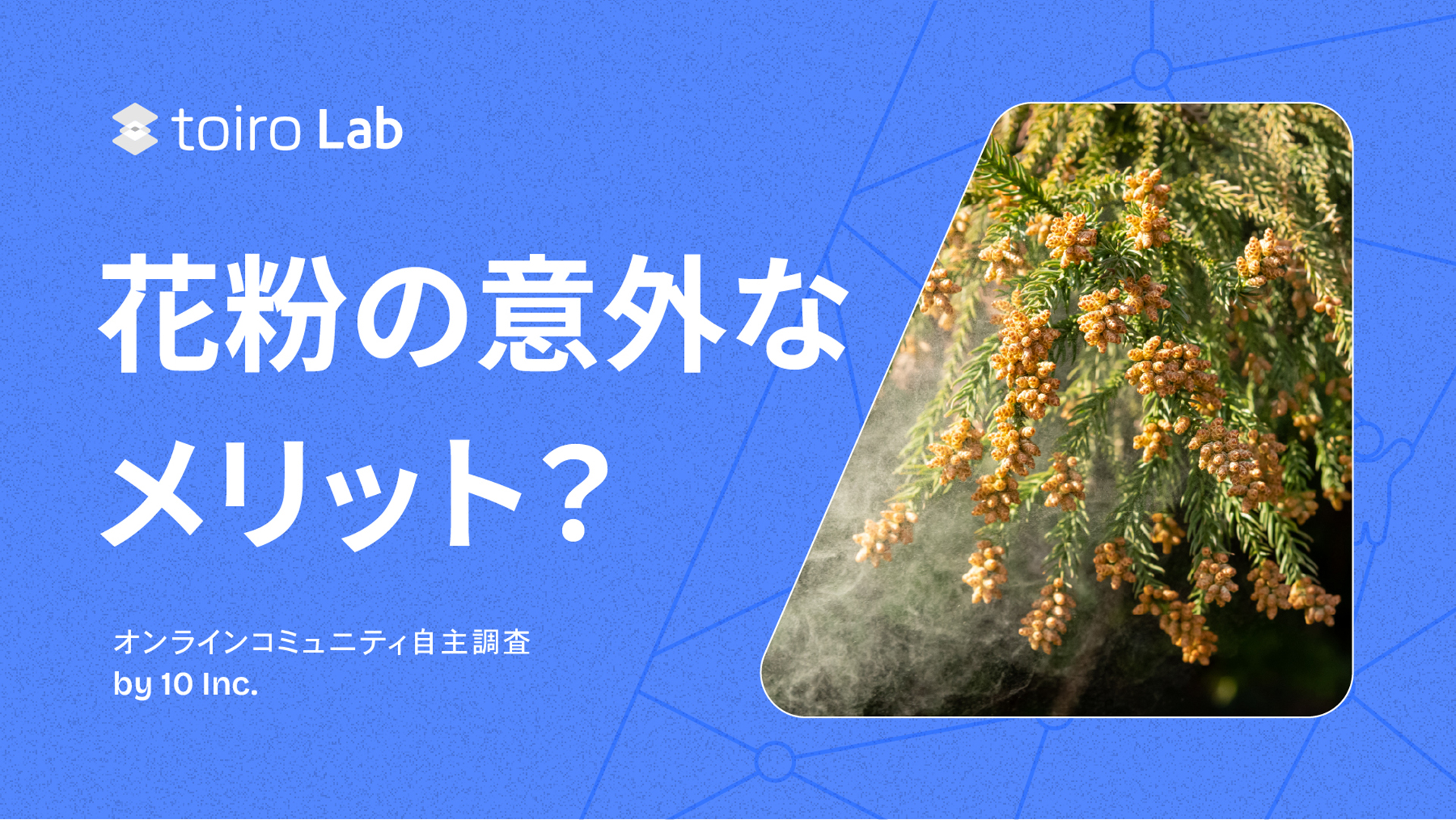 花粉症は本当に「悪」なのか？花粉症の意外なメリットとは
